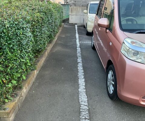 駐車場を綺麗にしました！