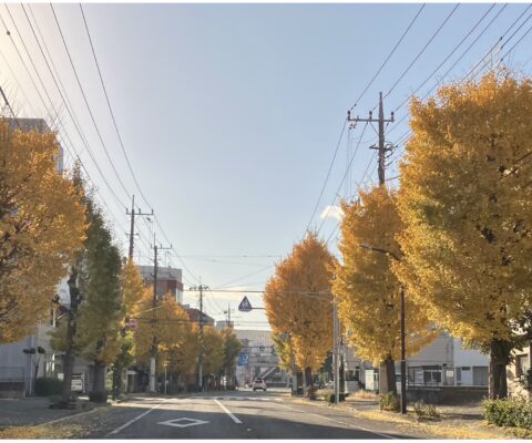 🍁ステーションのまわりで紅葉が進みました！