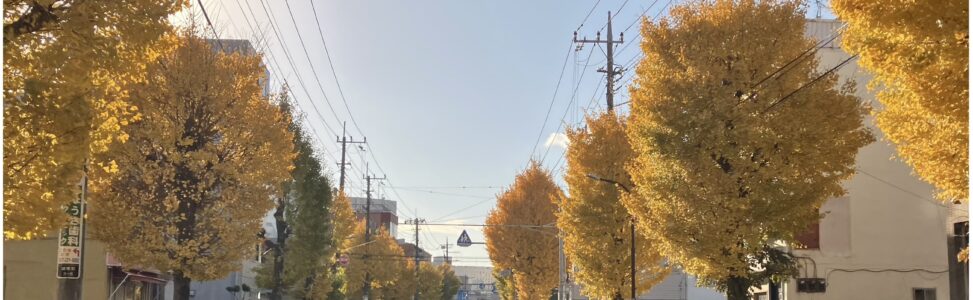 🍁ステーションのまわりで紅葉が進みました！