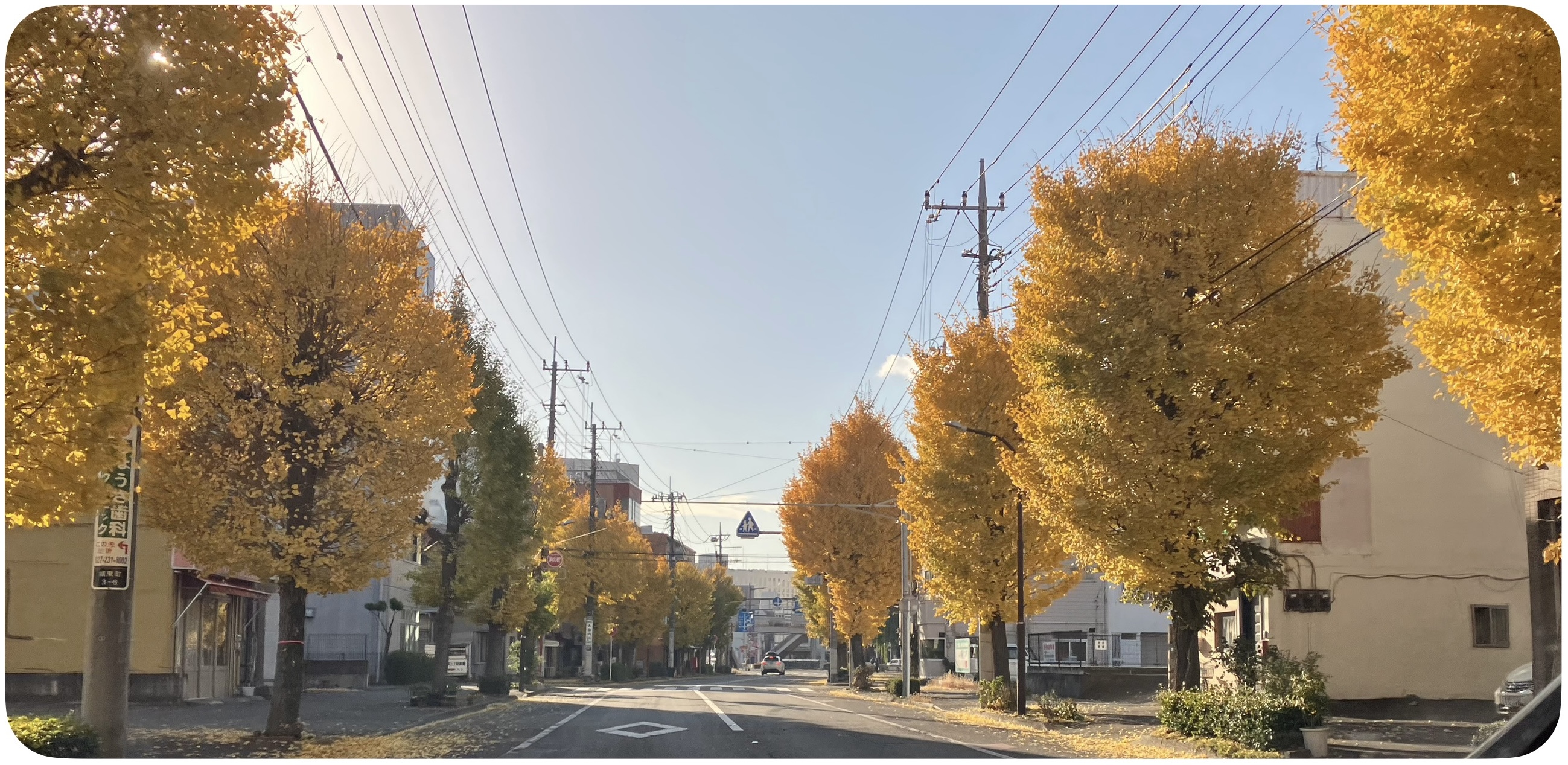 🍁ステーションのまわりで紅葉が進みました！