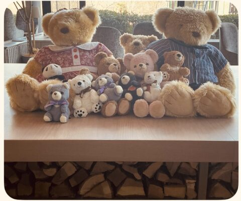 🌸年内最後のご挨拶 ＋  🏠「リハビリ・口腔・栄養」三位一体の支援について