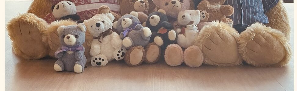 🌸年内最後のご挨拶 ＋  🏠「リハビリ・口腔・栄養」三位一体の支援について