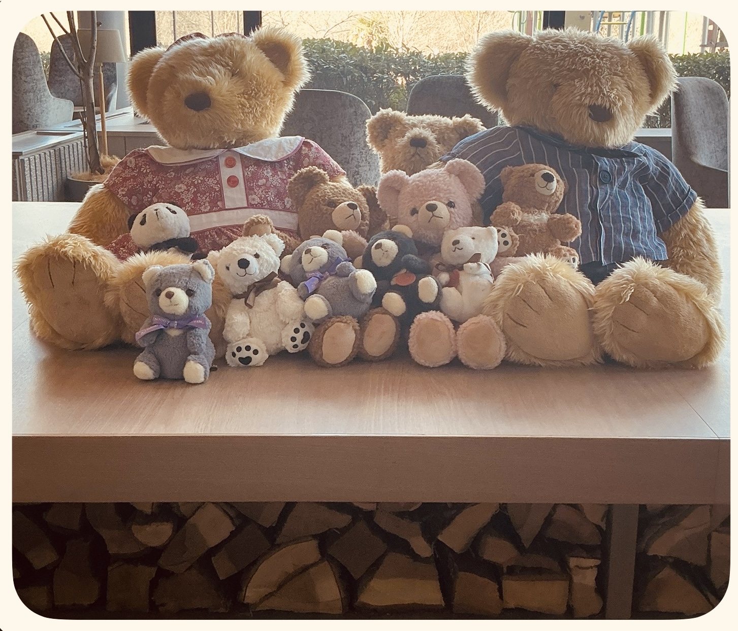 🌸年内最後のご挨拶 ＋  🏠「リハビリ・口腔・栄養」三位一体の支援について