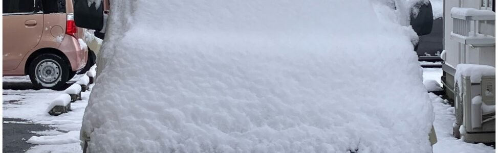 ❄️今シーズン初めての雪が降りました！