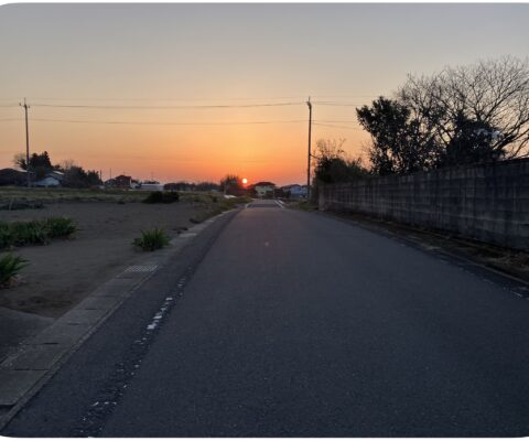 🌸健康診断と早朝散歩！