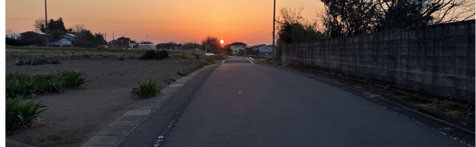 🌸健康診断と早朝散歩！