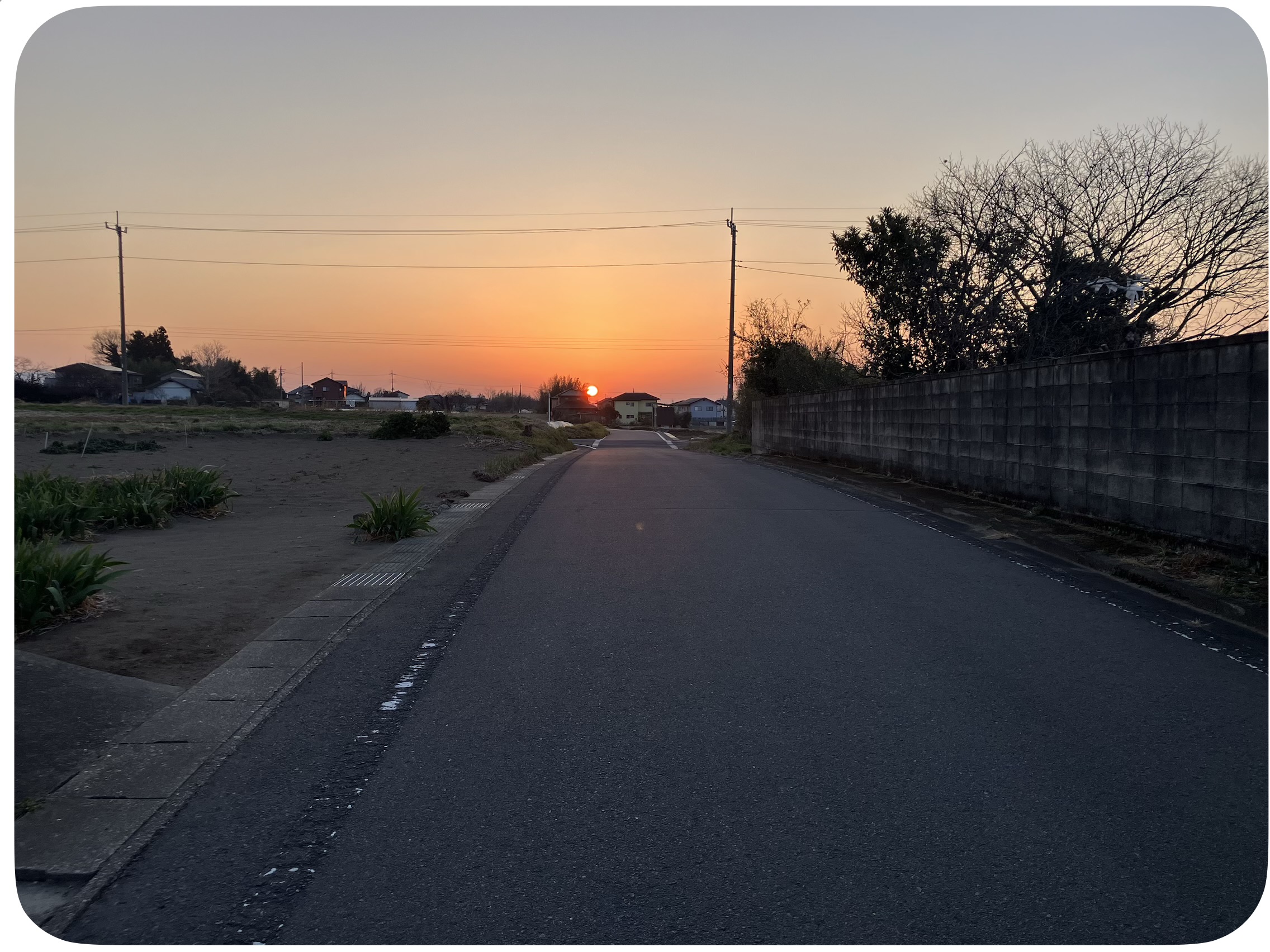 🌸健康診断と早朝散歩！