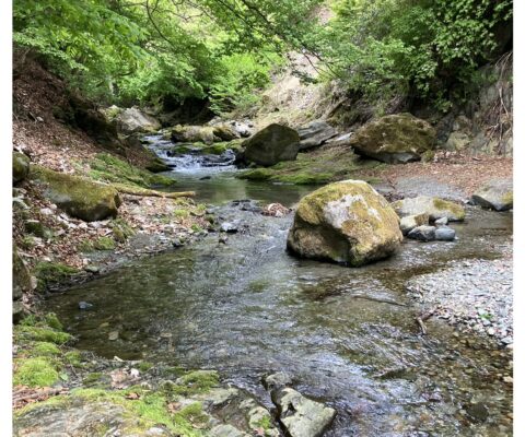 🌸事務所を彩る花々と、スタッフさんとの素敵な交流