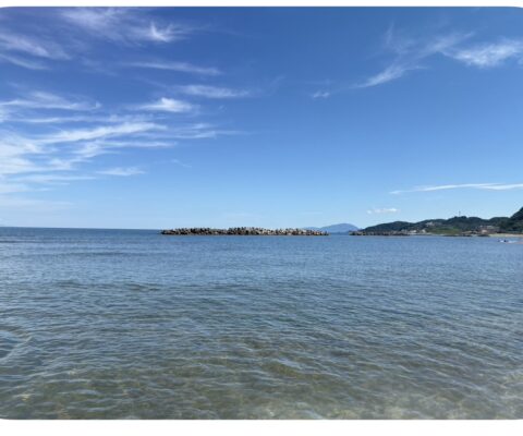 🌻今年のお盆を終えて ～こはるスタッフの夏休み～